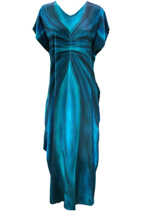 Blue Canary Maxi Silk Dress